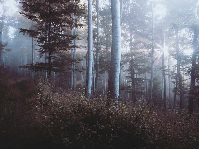 数据捕手<br>频道/群组信息结构化抓取